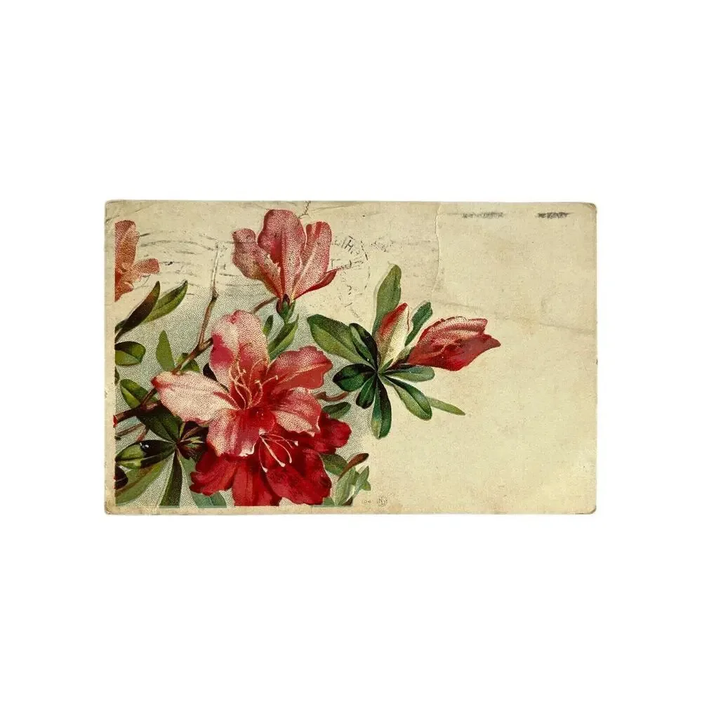 Antique 1909 Ephemera Embossed Posted Signed Postcard Lilies Floral Best Wishes